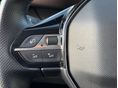 PEUGEOT RIFTER 2023/4 - 16