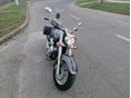 SUZUKI VL 800 (INTRUDER) 2005/11 - 4