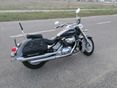 SUZUKI VL 800 (INTRUDER) 2005/11 - 1