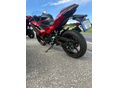 KAWASAKI NINJA500 SE 2025/5 - 6