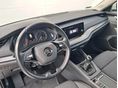 SKODA OCTAVIA 2023/9 - 7