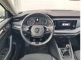 SKODA OCTAVIA 2023/9 - 8