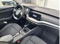 SKODA OCTAVIA 2023/9 - 11
