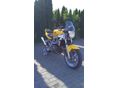 SUZUKI SV 650 N 2004/7 - 3