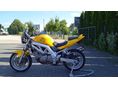 SUZUKI SV 650 N 2004/7 - 4