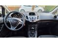 FORD FIESTA 2014/10 - 11