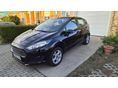 FORD FIESTA 2014/10 - 1