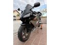 HONDA CBR 600 RR 2006/5 - 1
