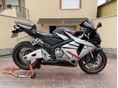 HONDA CBR 600 RR 2006/5 - 3
