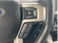 FORD F 150 2020/8 - 17