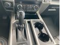 FORD F 150 2020/8 - 20