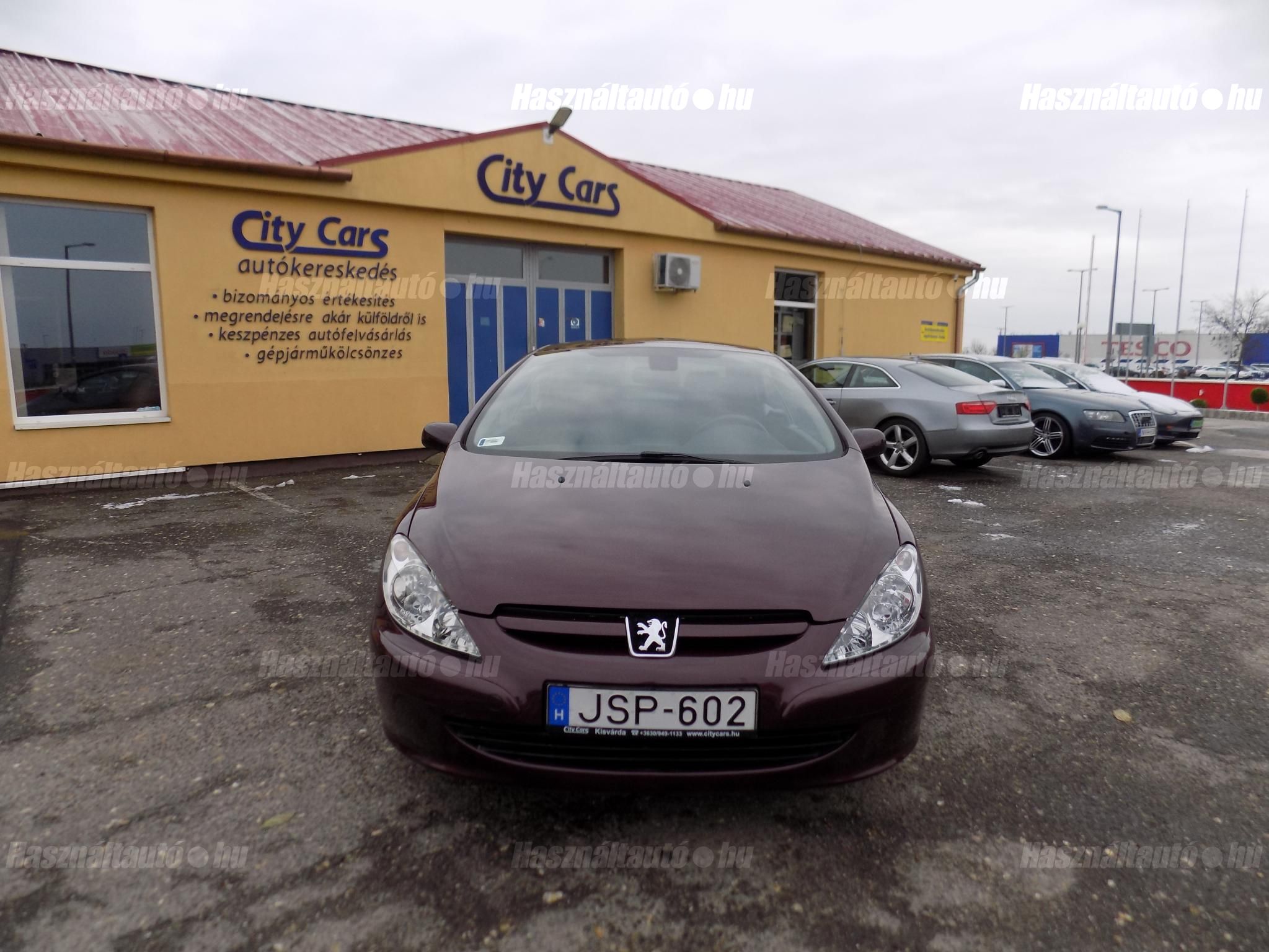 PEUGEOT 307 2005/6 - 1