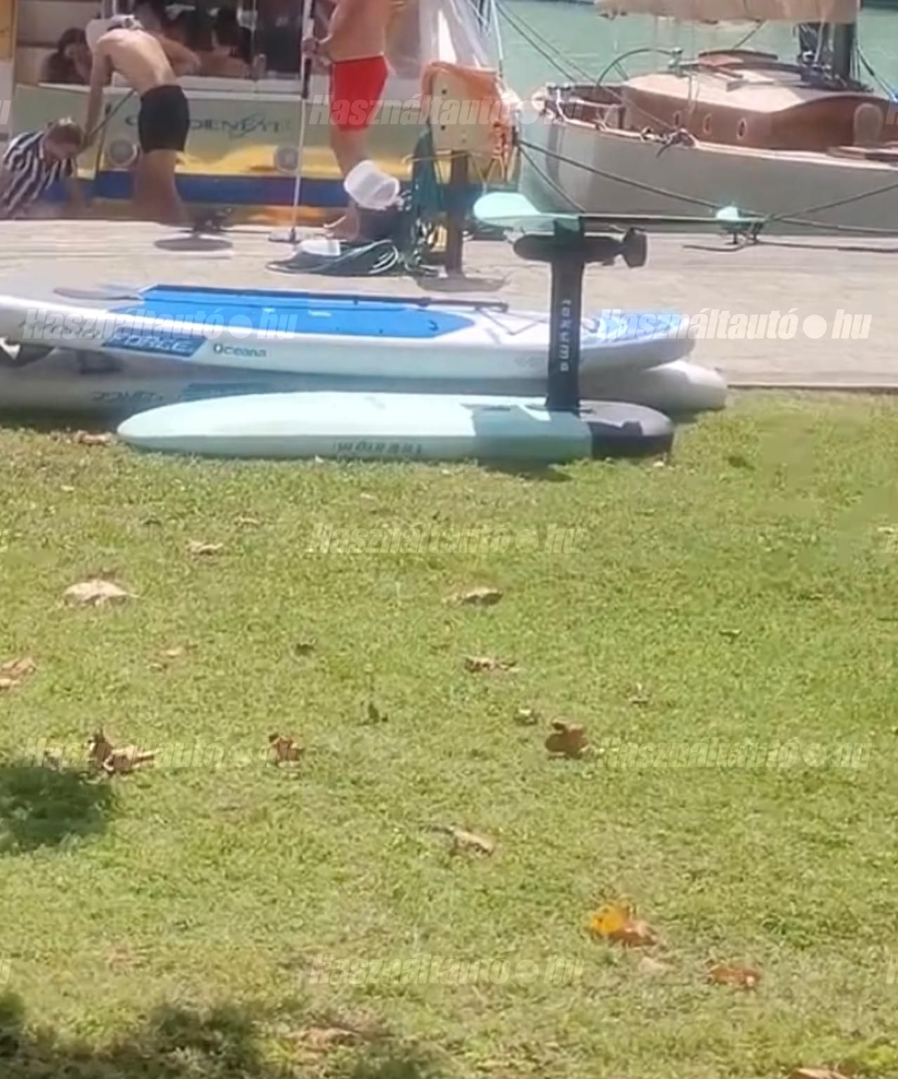 SURF 2021 - 1