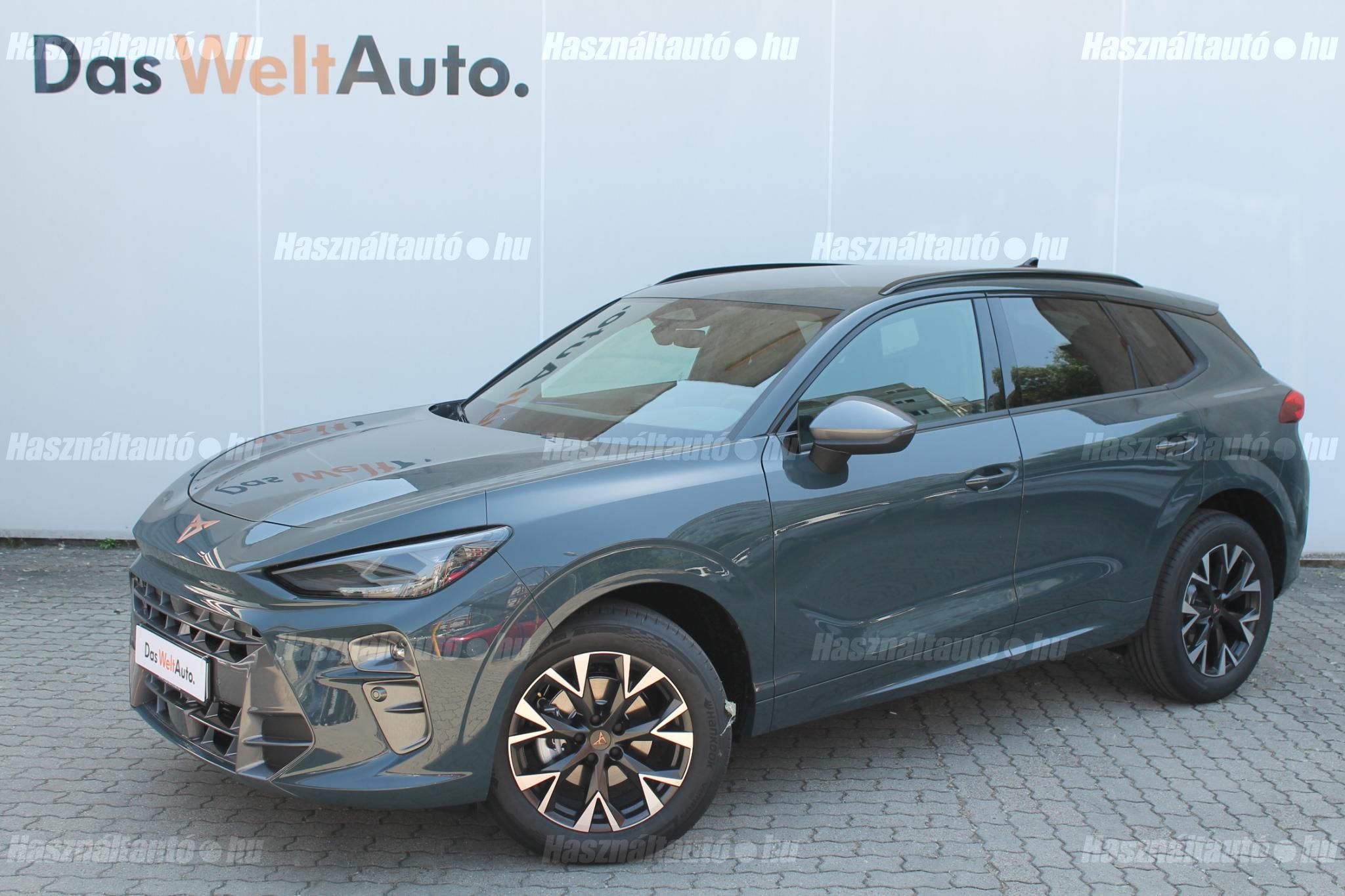CUPRA TERRAMAR 2025/5 - 1