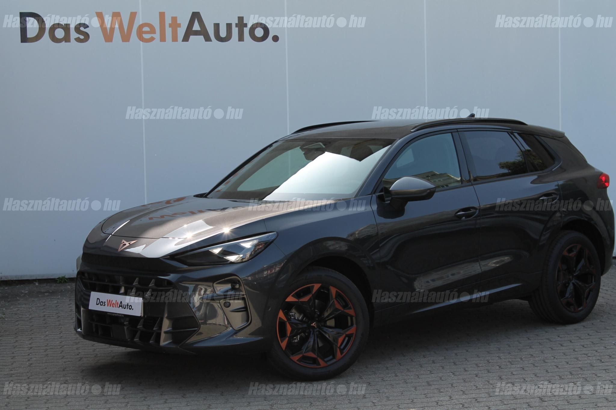 CUPRA TERRAMAR 2025/5 - 1