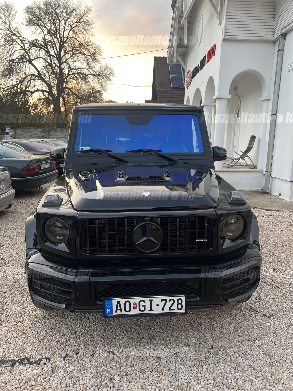 MERCEDES-BENZ G 350 2013 - 1