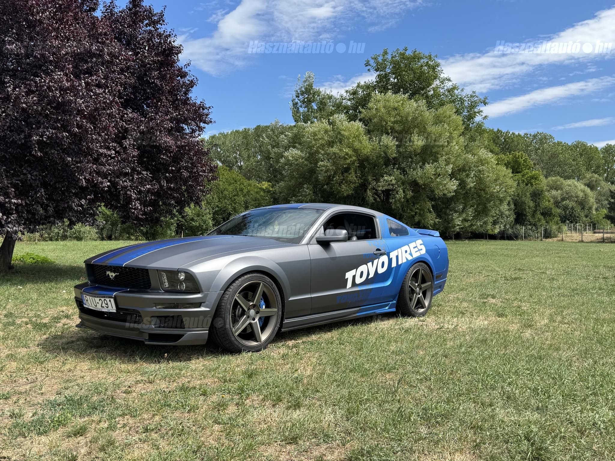 FORD MUSTANG 2006/1 - 1