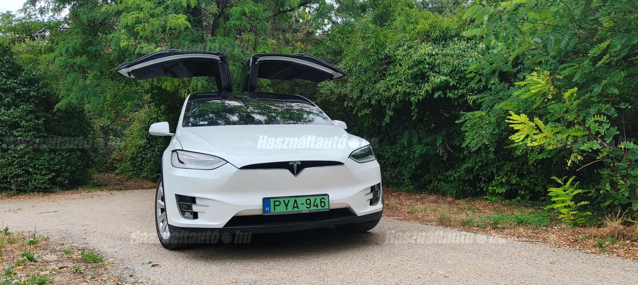 TESLA MODEL X 2018/9 - 1