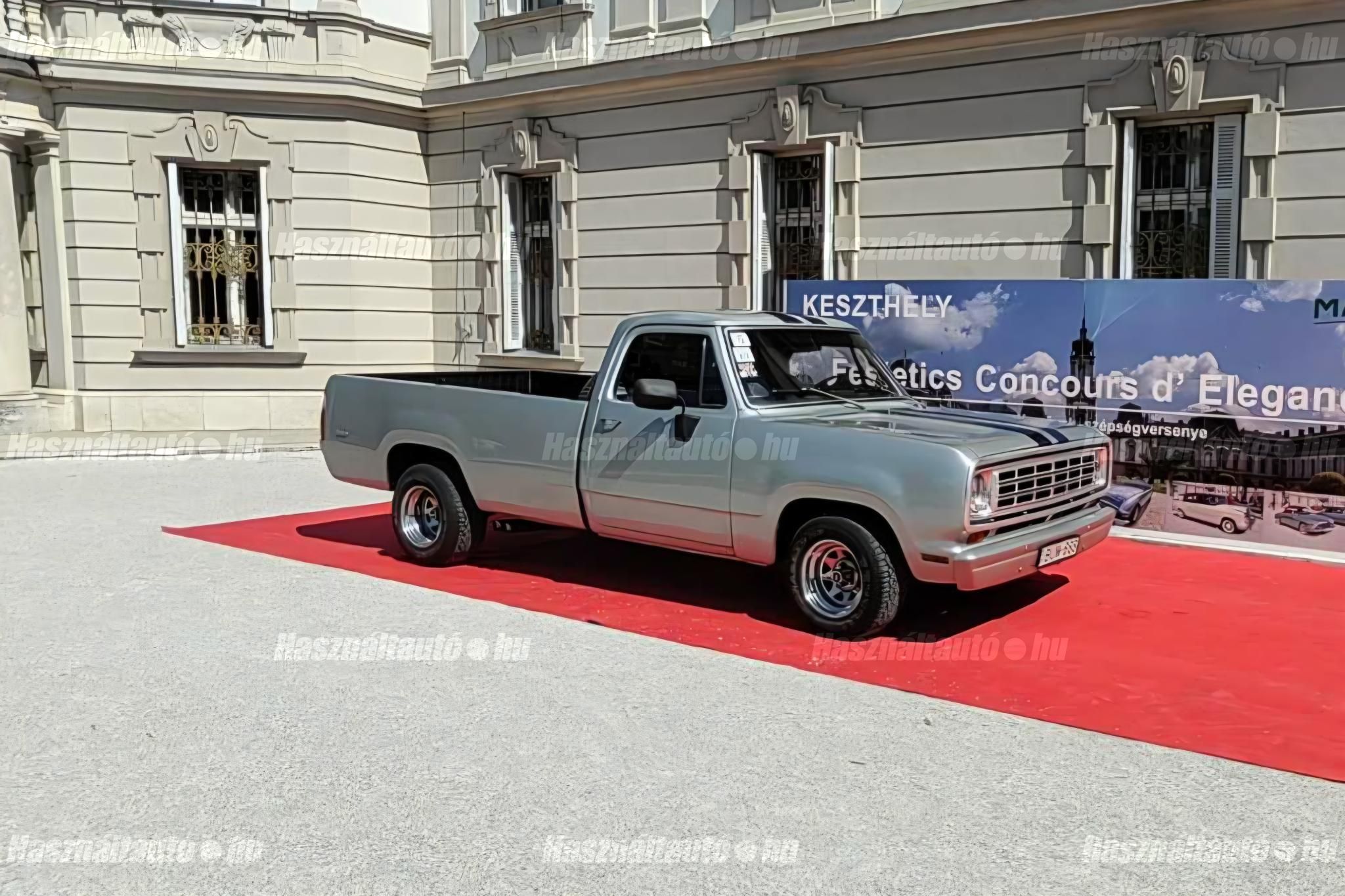 DODGE D 100 1974 - 1