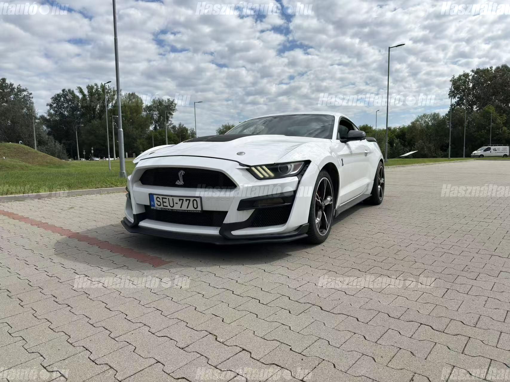 FORD MUSTANG 2017/12 - 1