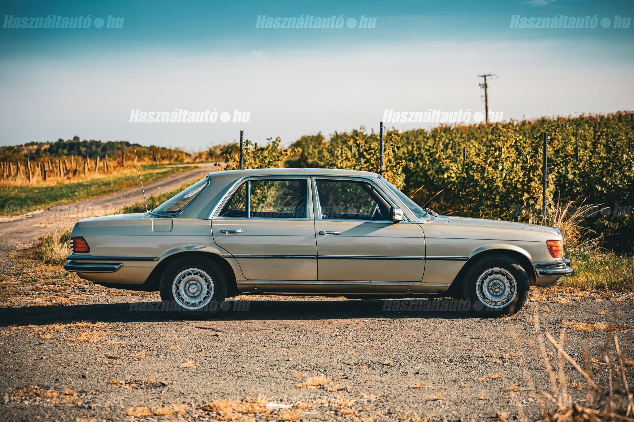 MERCEDES-BENZ W 116 1976/6 - 1