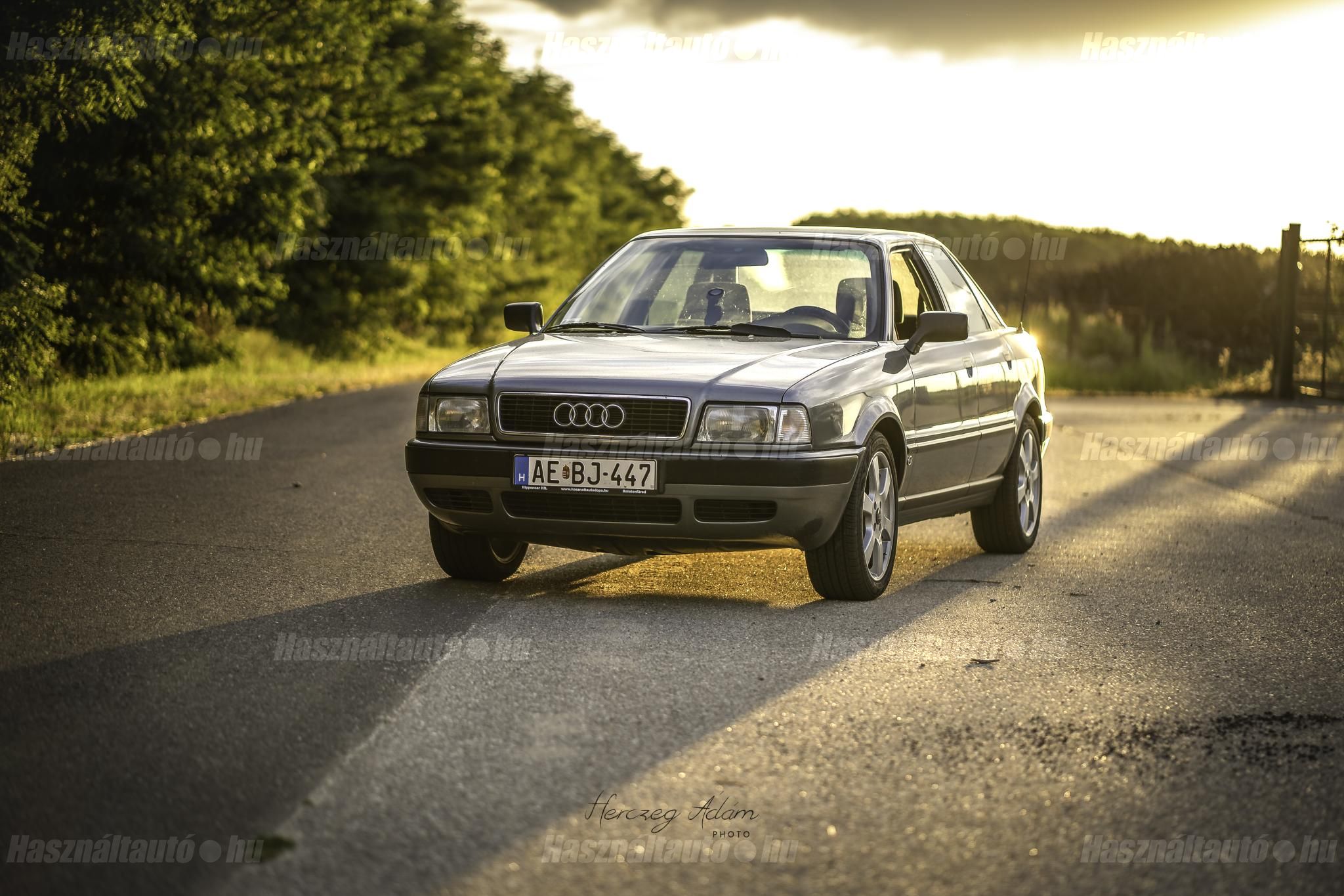 AUDI 80 1993/6 - 1