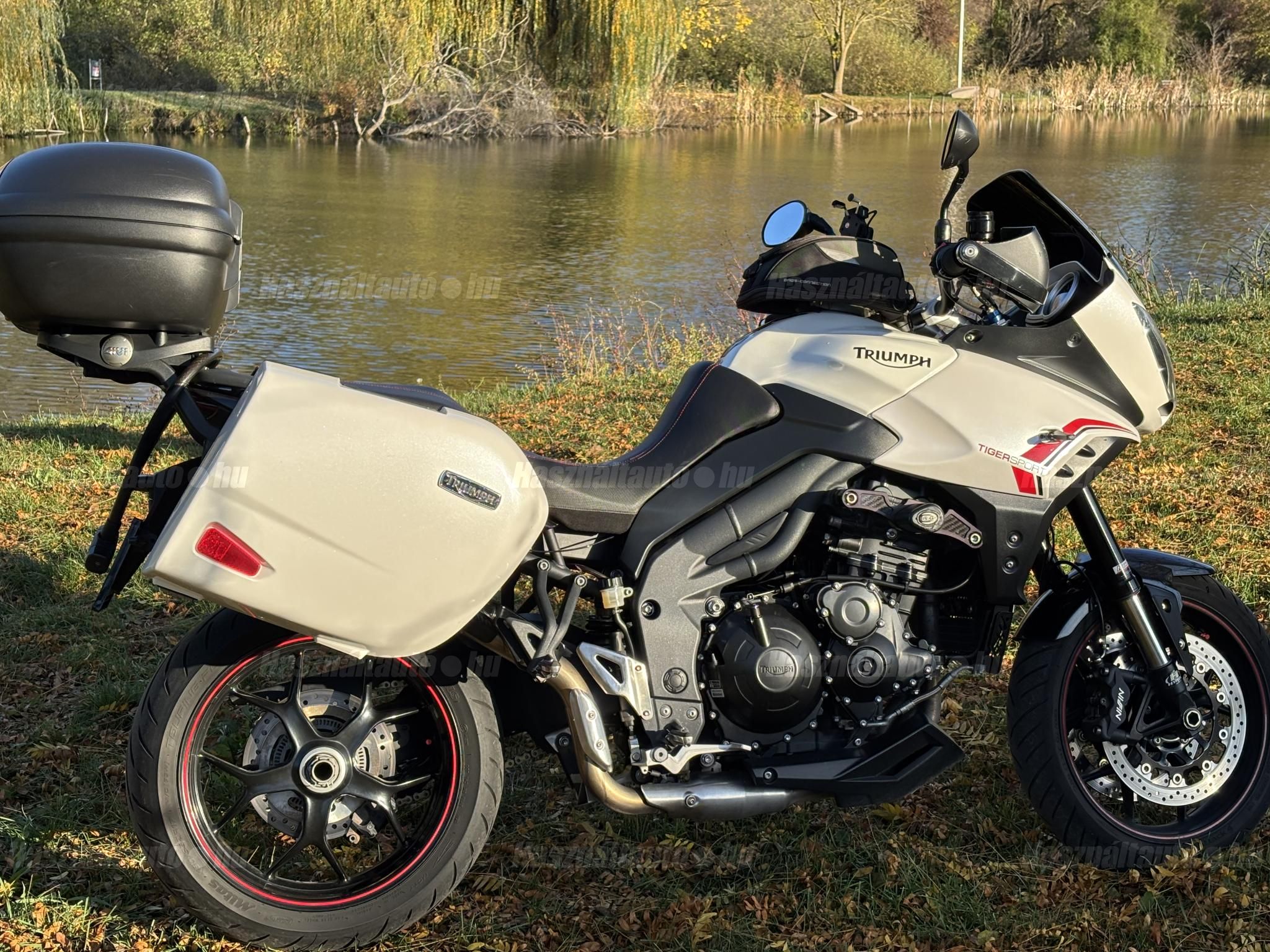 TRIUMPH TIGER 1050 ABS 2014/6 - 1