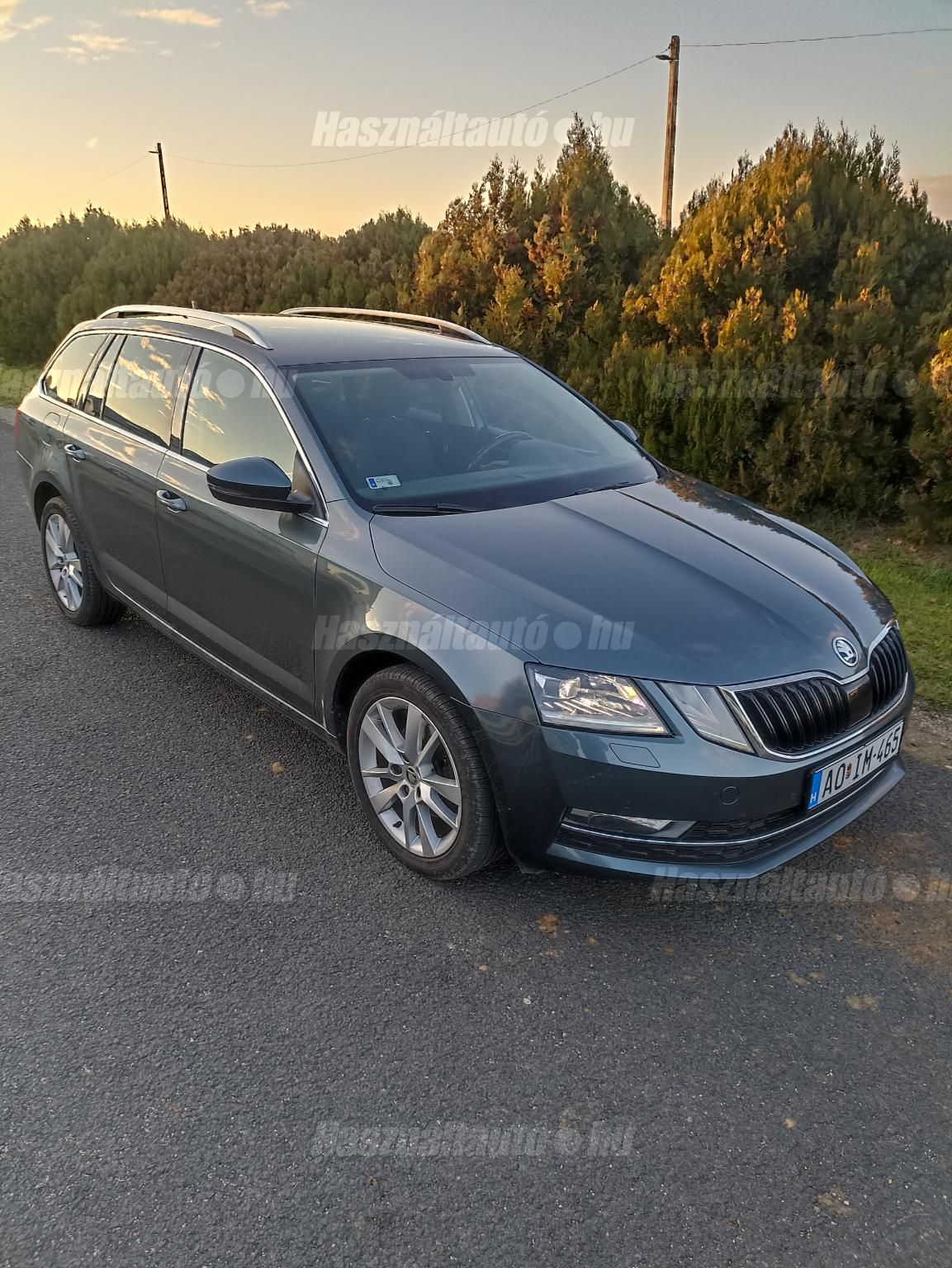 SKODA OCTAVIA 2019/11 - 1