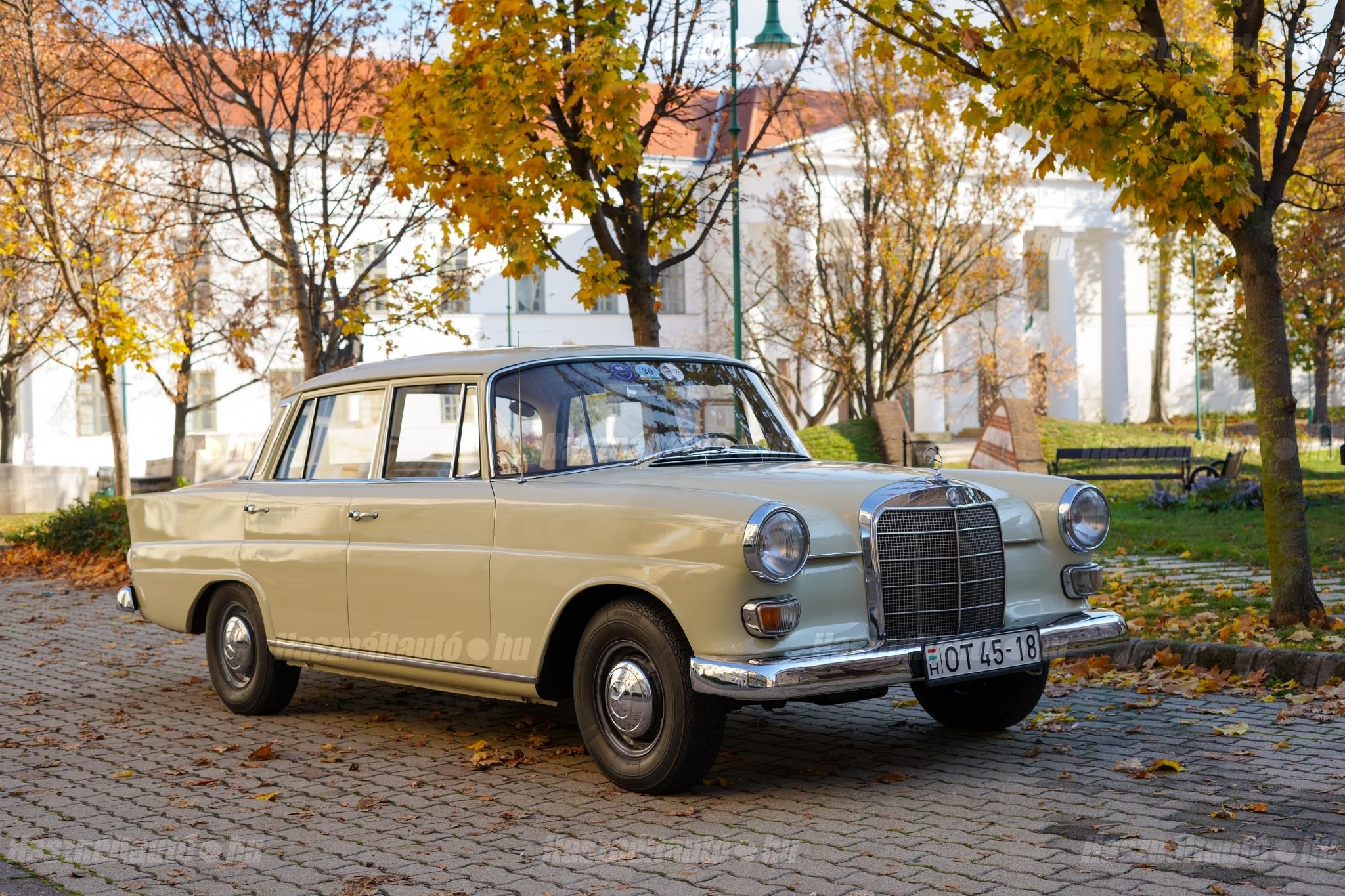 MERCEDES-BENZ W 110 1966 - 1