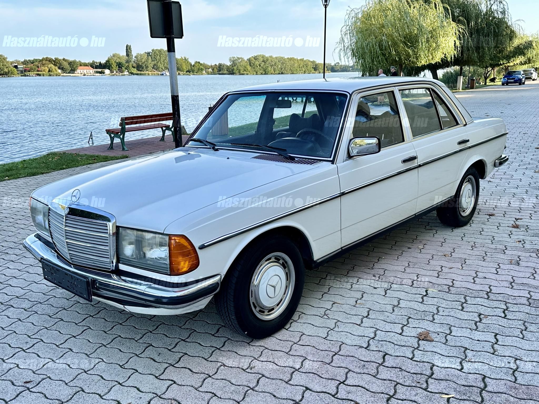 MERCEDES-BENZ W 123 1976/2 - 1