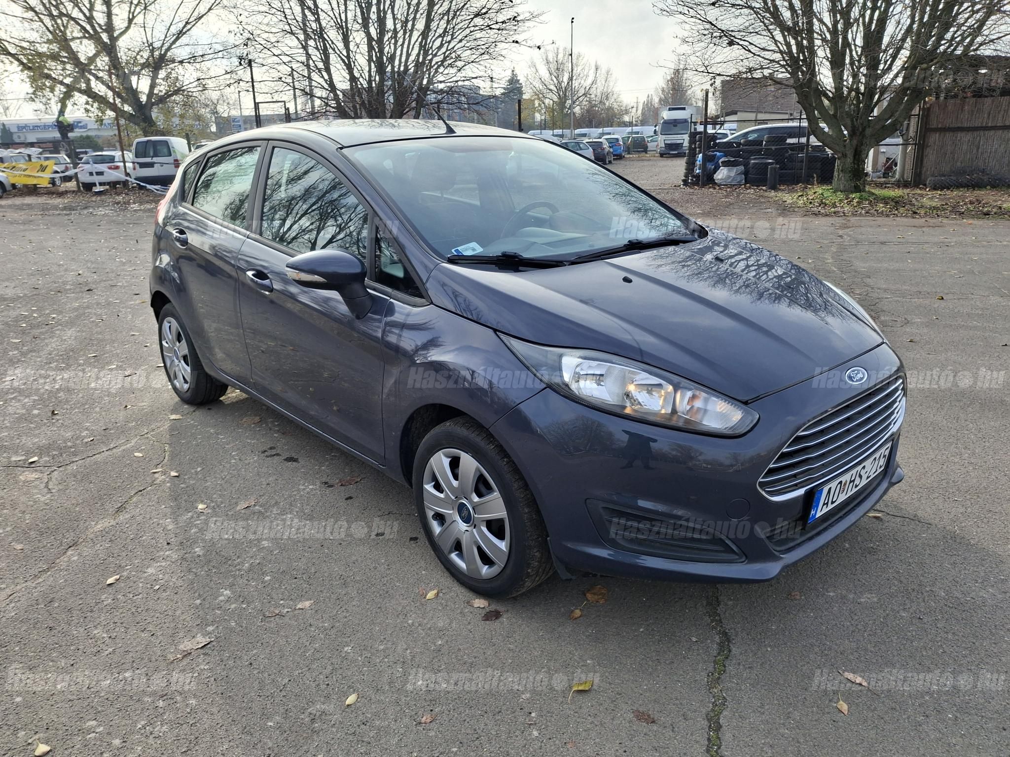 FORD FIESTA 2013 - 1