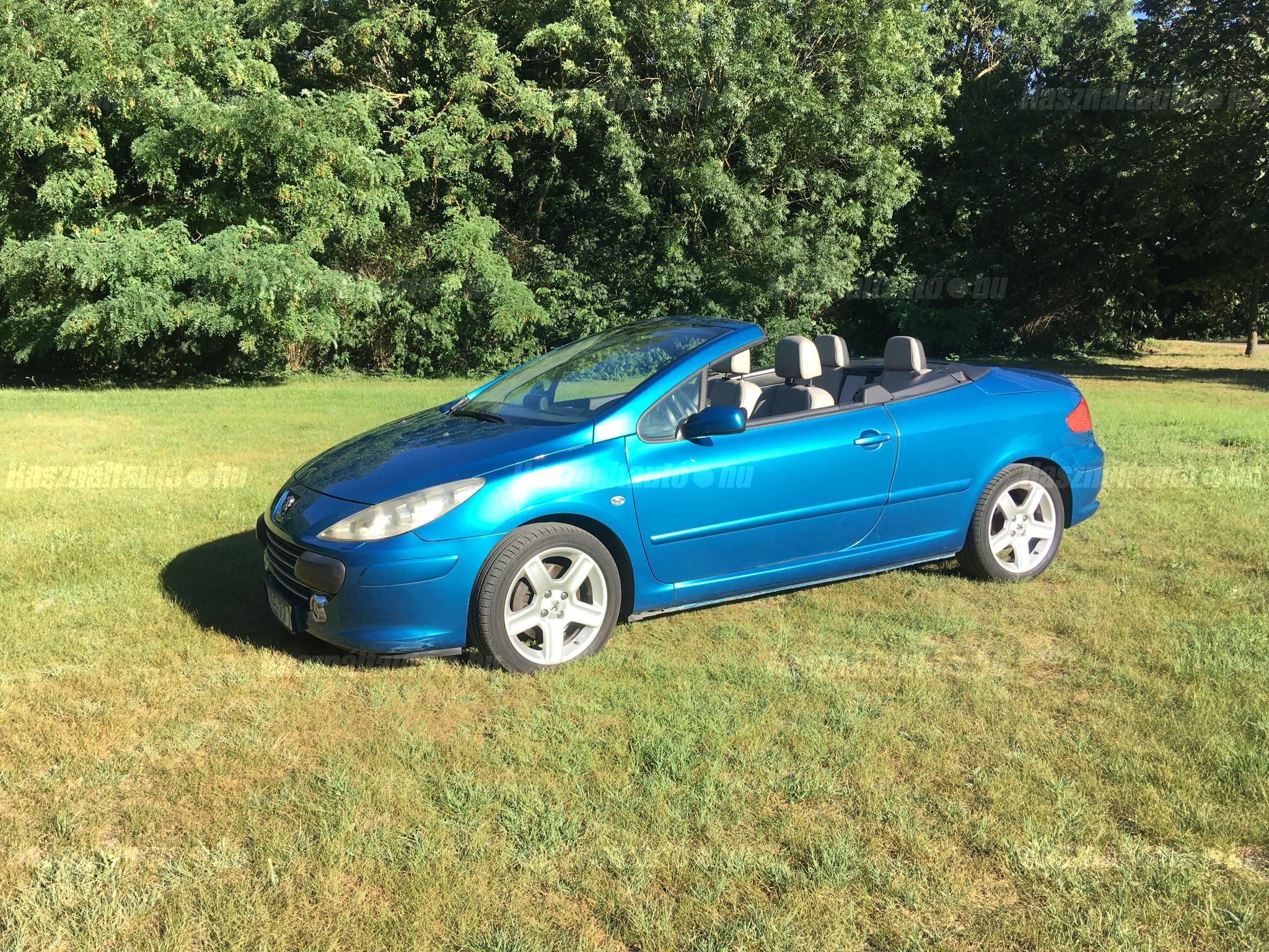 PEUGEOT 307 2006 - 1