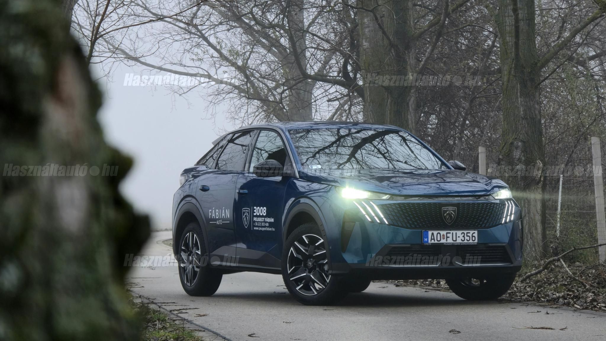PEUGEOT 3008 2025/10 - 1