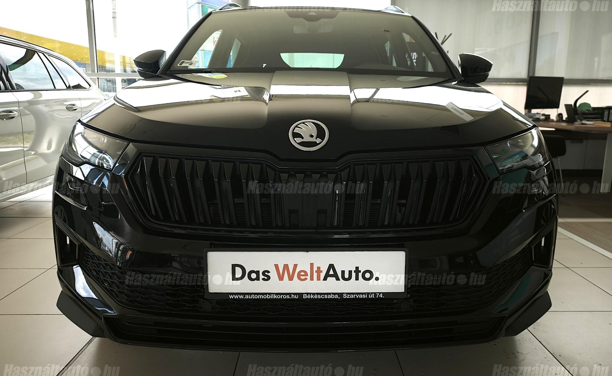 SKODA KAROQ 2025/1 - 1