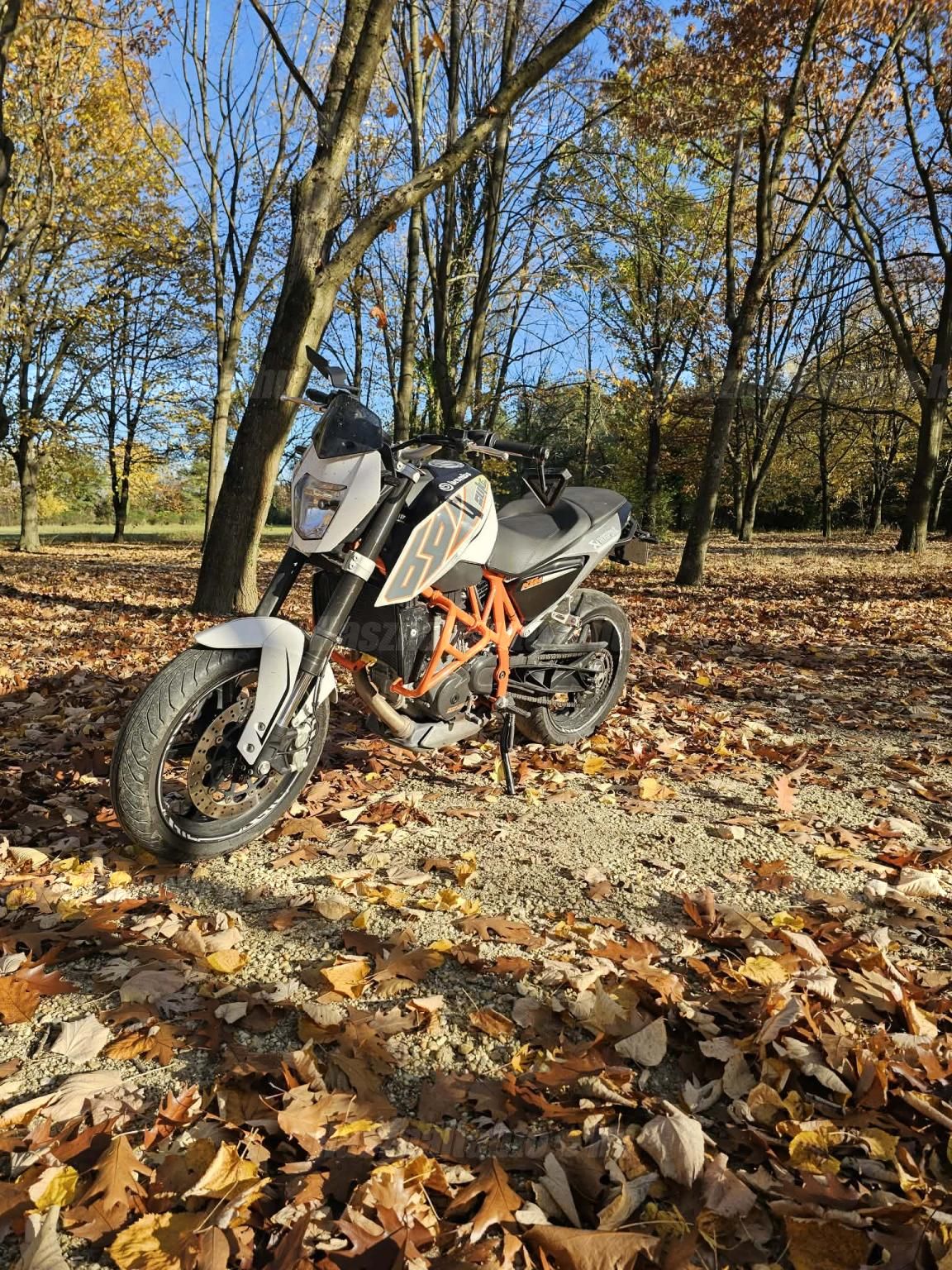 KTM 690 DUKE 2012/6 - 1