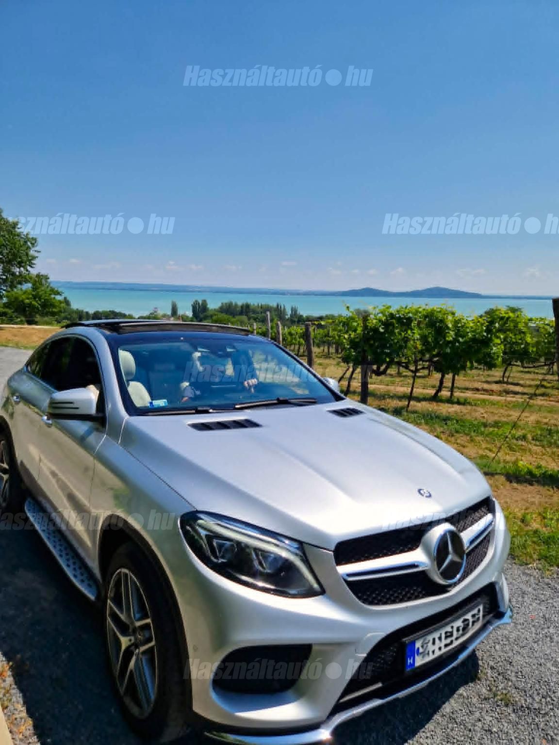 MERCEDES-BENZ GLE 350 2017/12 - 1