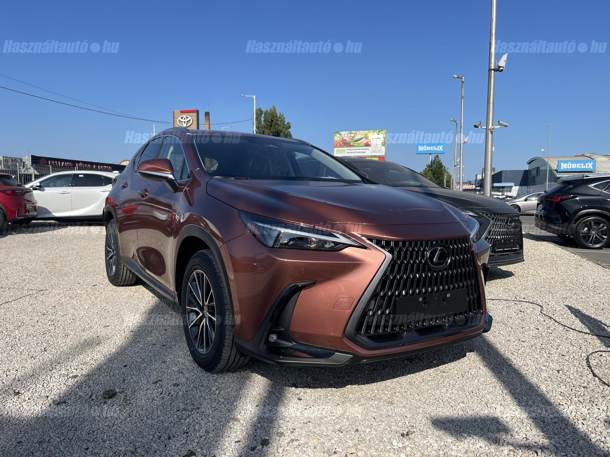 LEXUS NX 2026/1 - 1
