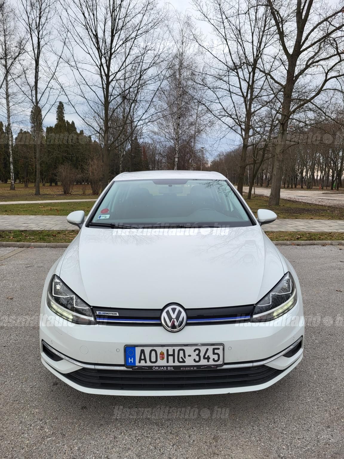 VOLKSWAGEN GOLF VII 2018 - 1