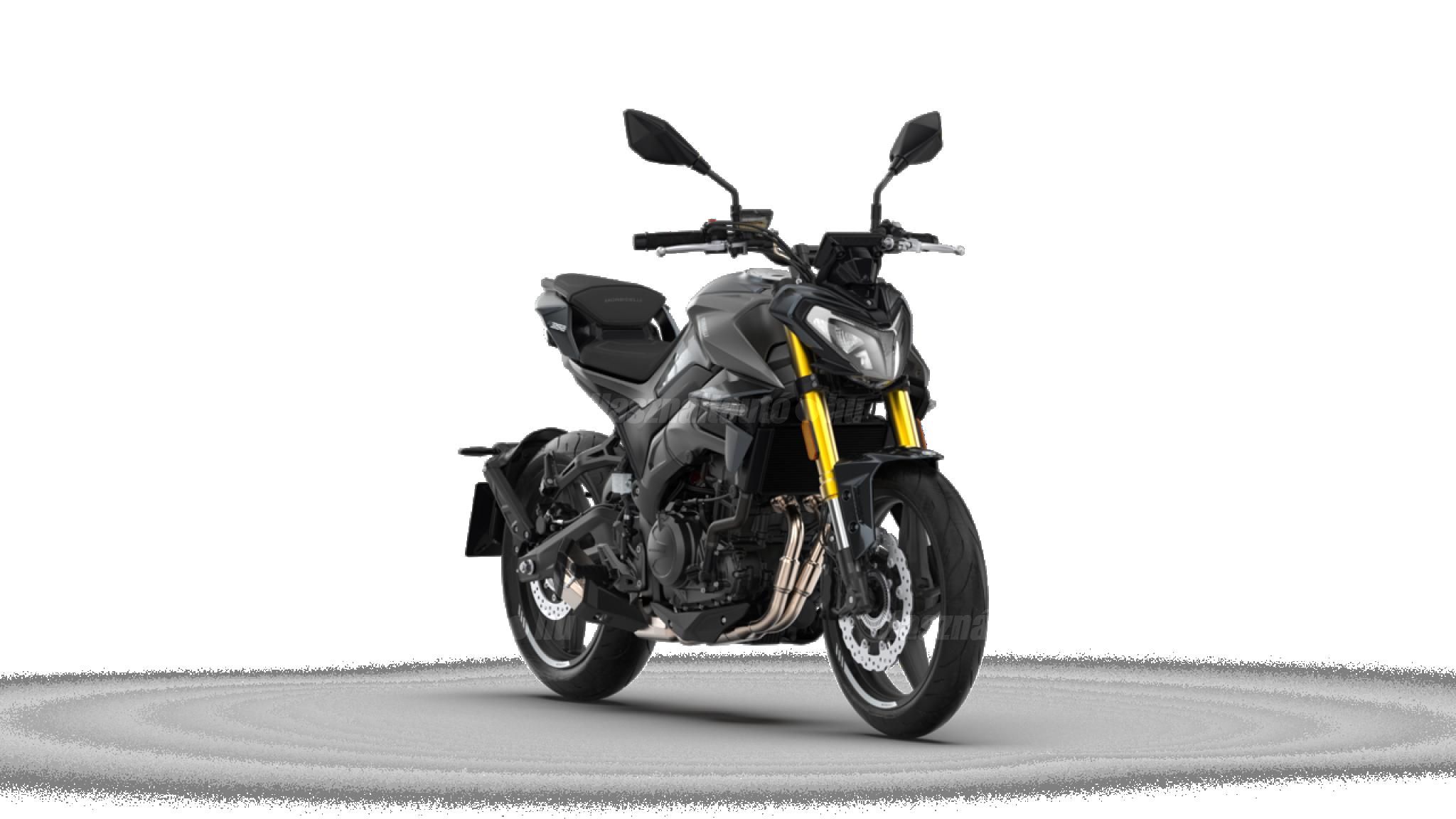 MORBIDELLI F352 2026 - 1