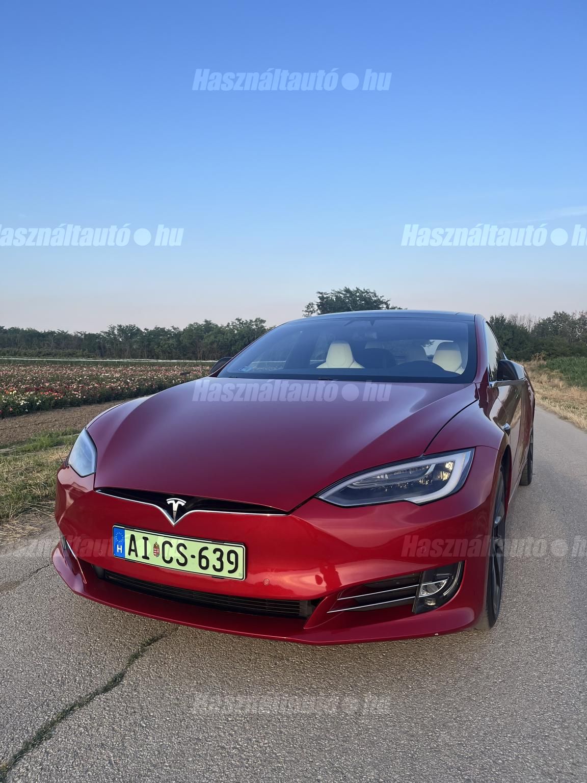 TESLA MODEL S 2019/1 - 1