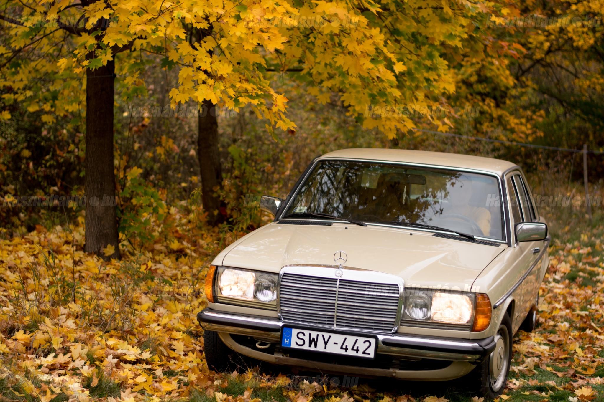 MERCEDES-BENZ W 123 1979/6 - 1
