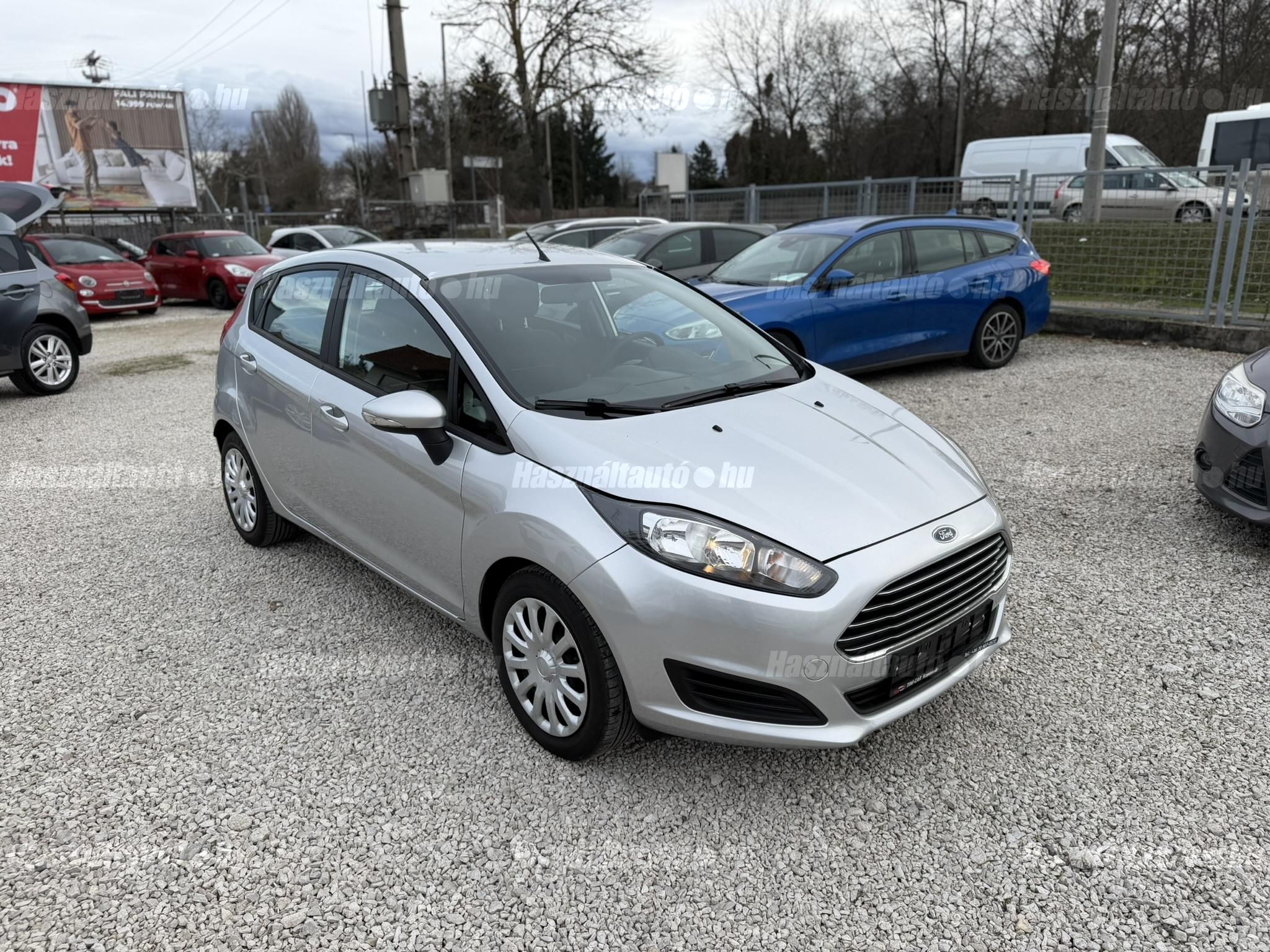FORD FIESTA 2013/6 - 1