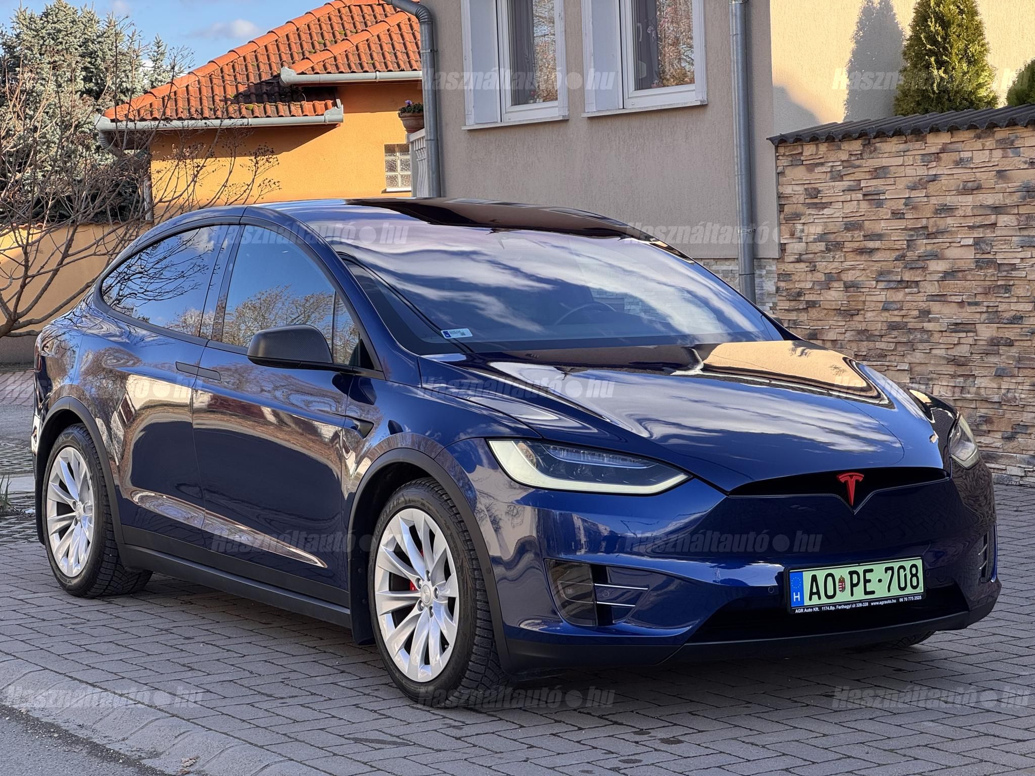TESLA MODEL X 2019/6 - 1