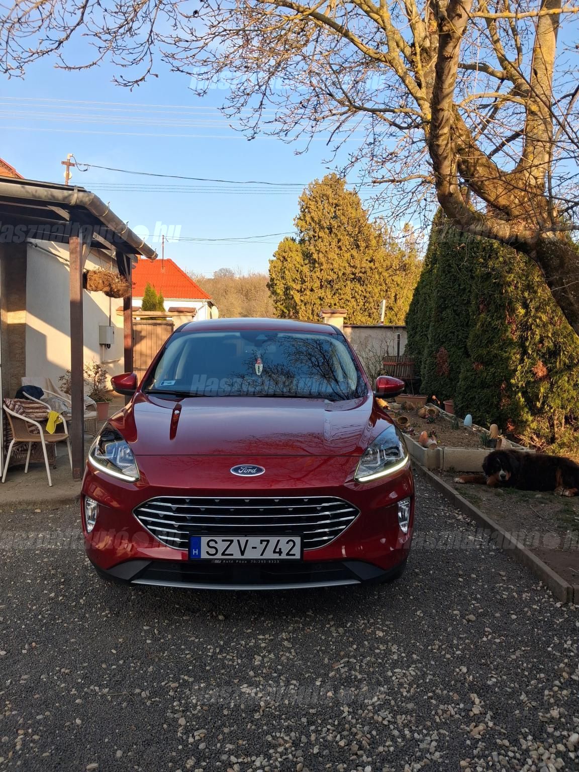 FORD KUGA 2021/12 - 1