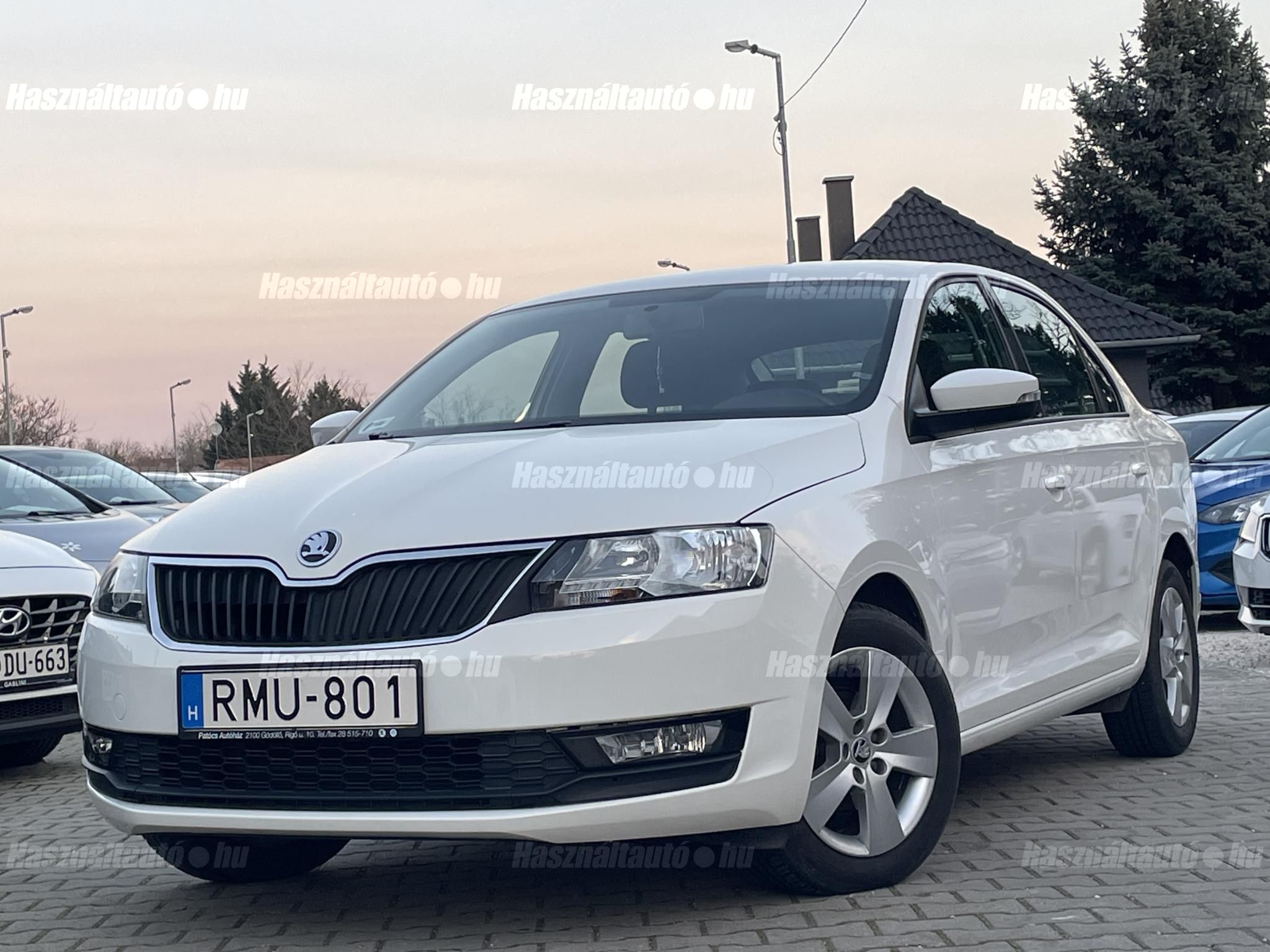 SKODA RAPID 2019/6 - 1
