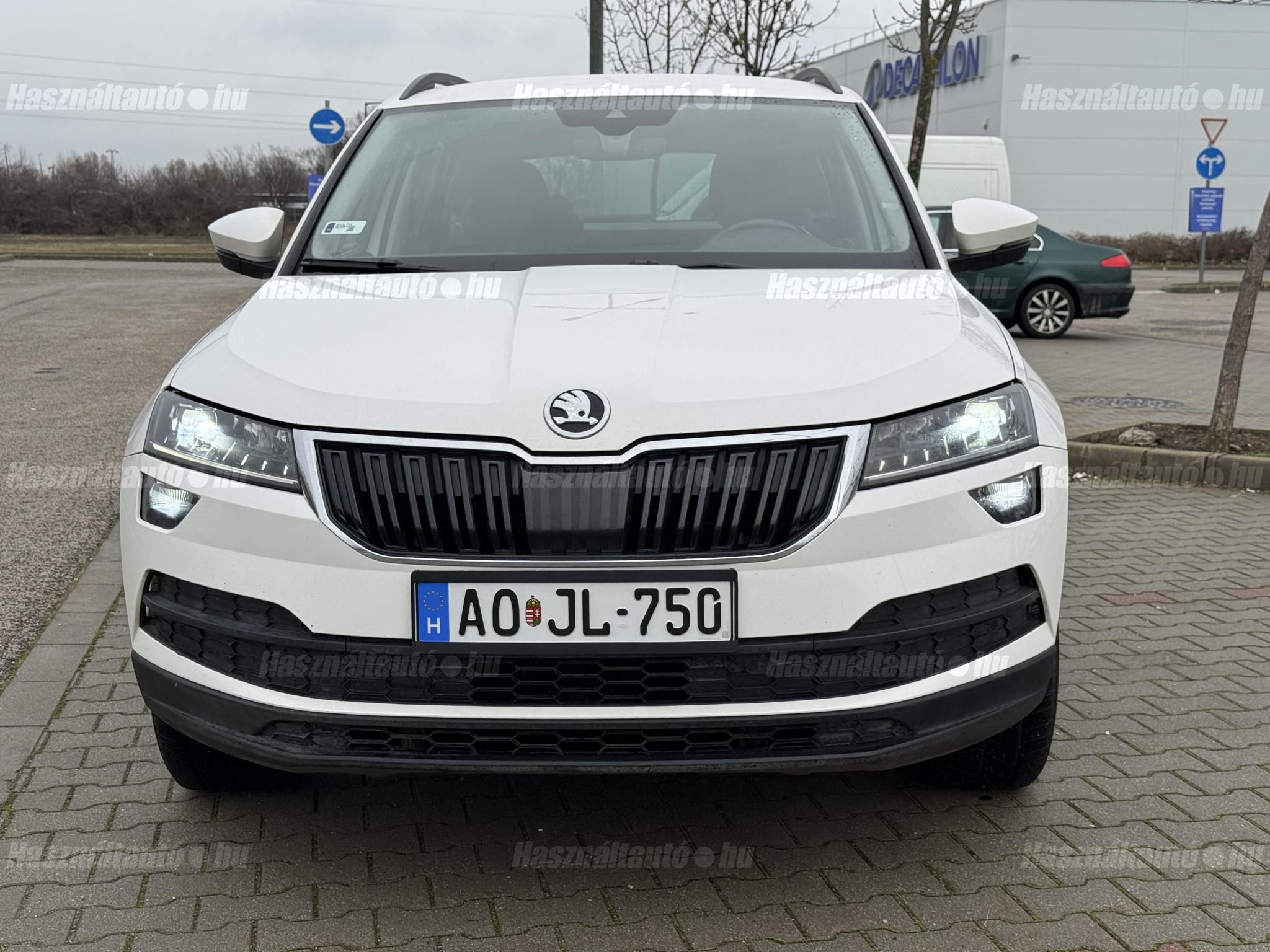 SKODA KAROQ 2019 - 1
