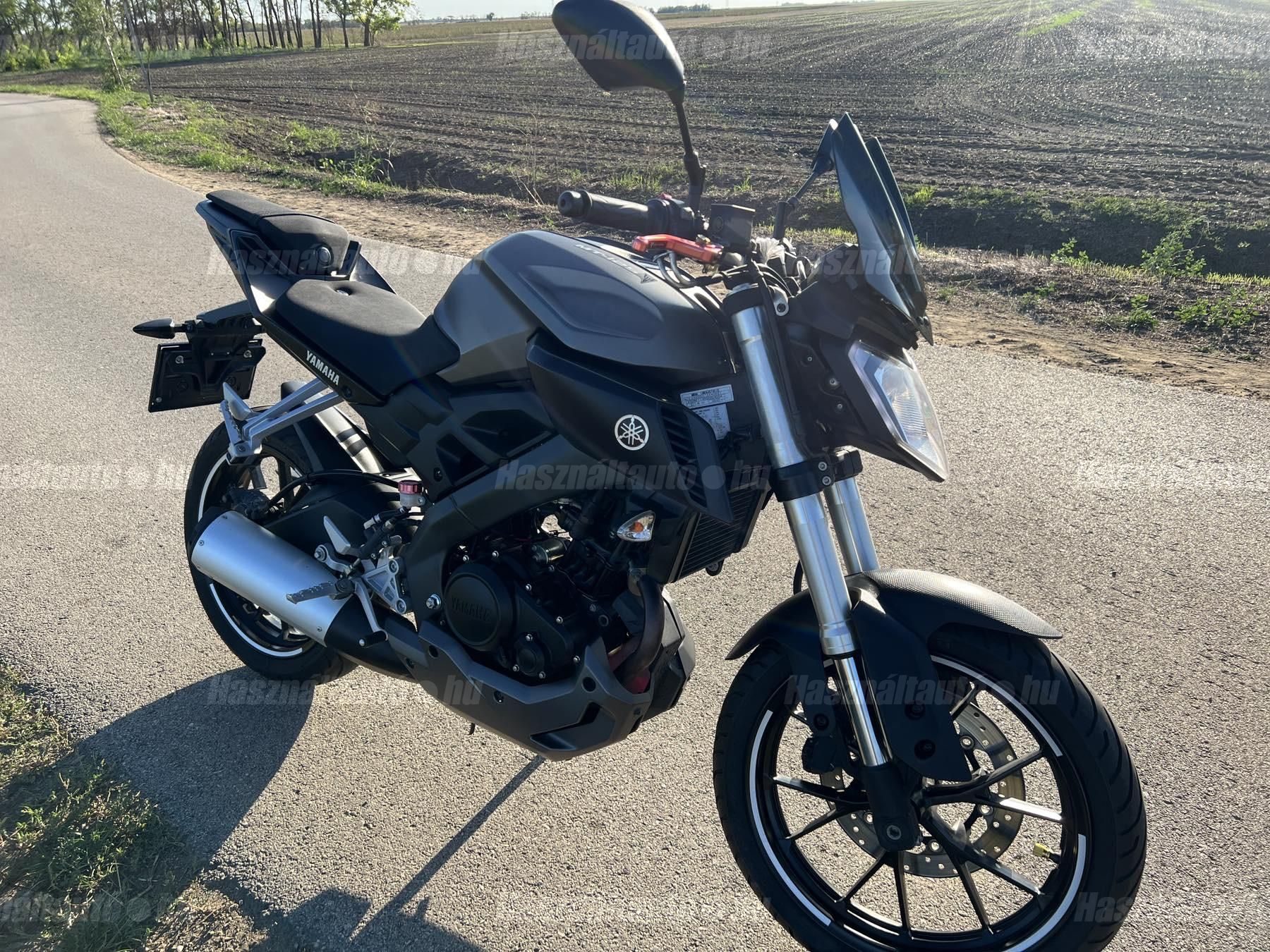 YAMAHA MT-125 2015/12 - 1