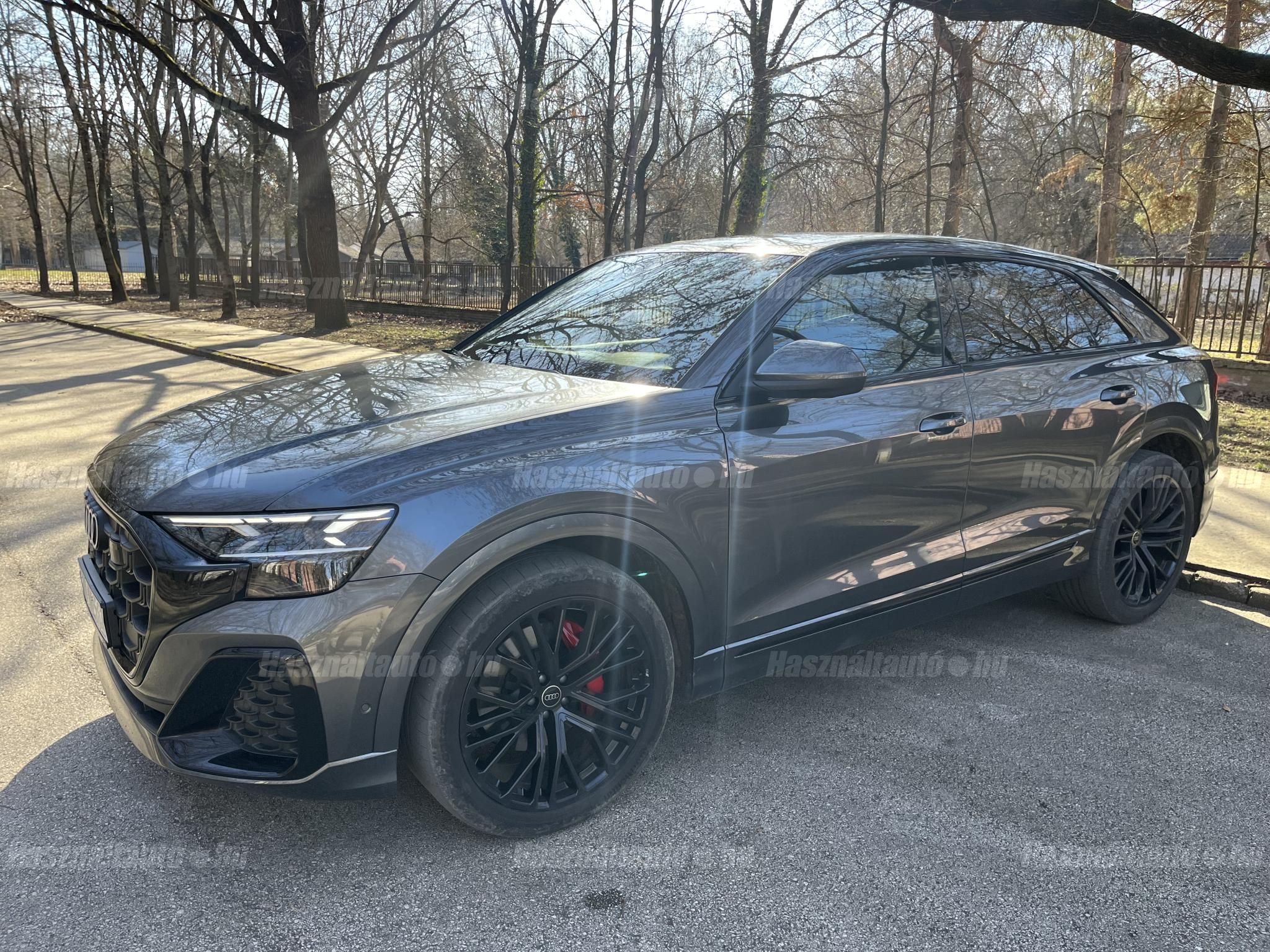 AUDI Q8 2025/2 - 1