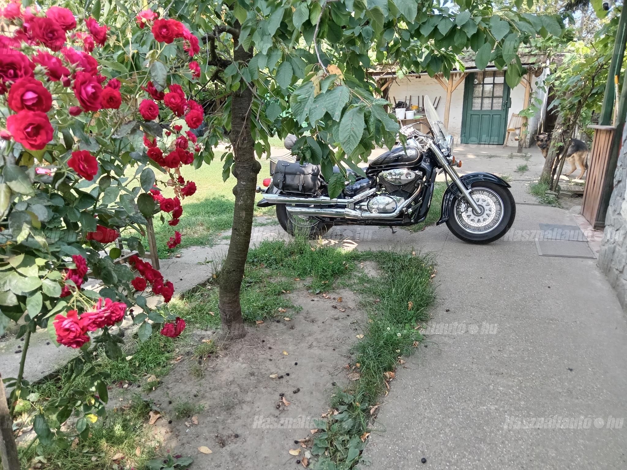 SUZUKI VL 800 (INTRUDER) 2003/6 - 1