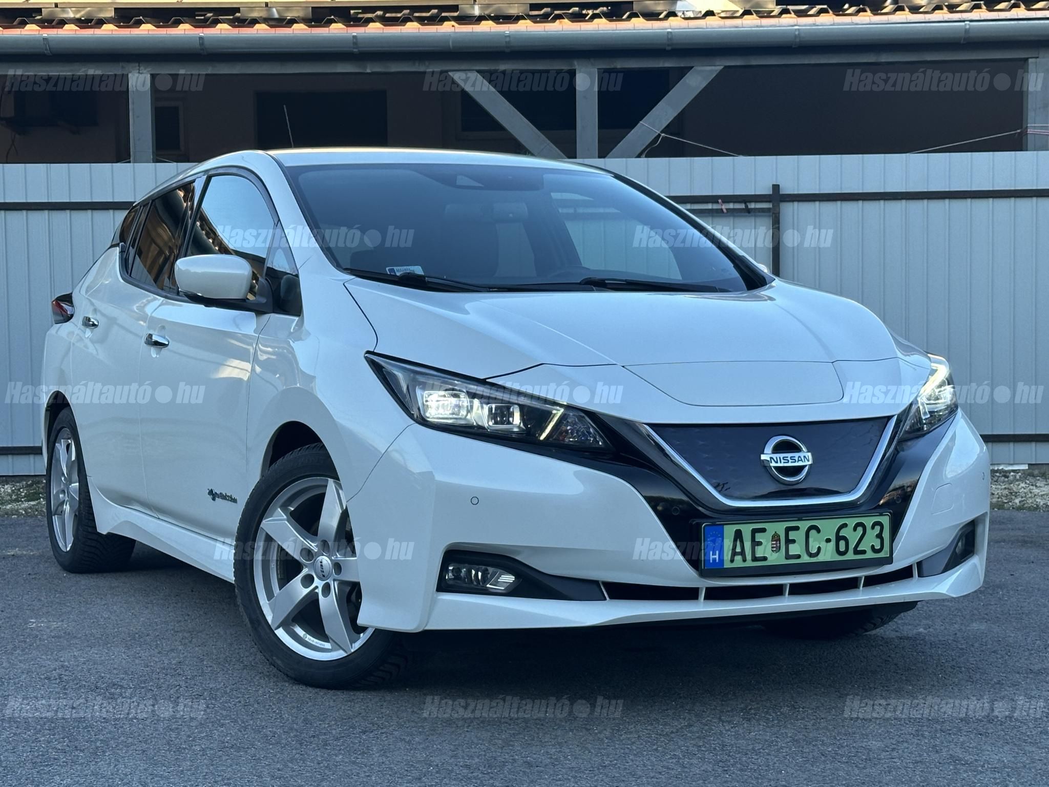 NISSAN LEAF 2019 - 1